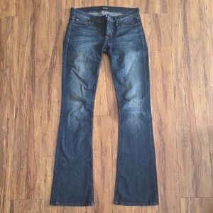 Hudson Jeans Dark Blue Flare Denim